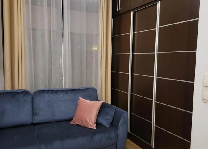 公寓 Amber 108 克拉科夫